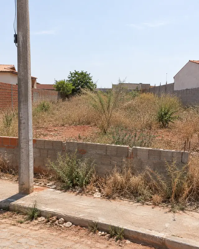 Foto de um lote vazio tirada da calçada, com mato, muro baixo e um poste na frente
